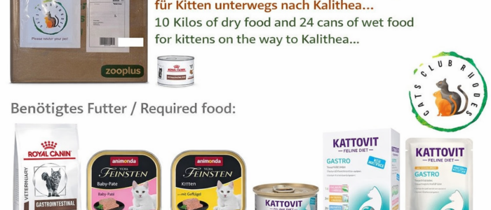 8B8BEB5E-9607-491A-822F-12A5C8DAE9A3